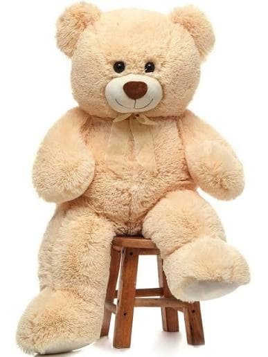 Plush Teddy Bear – Large